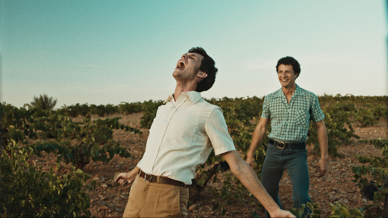 CARIÑENA, VINO DEL MAR